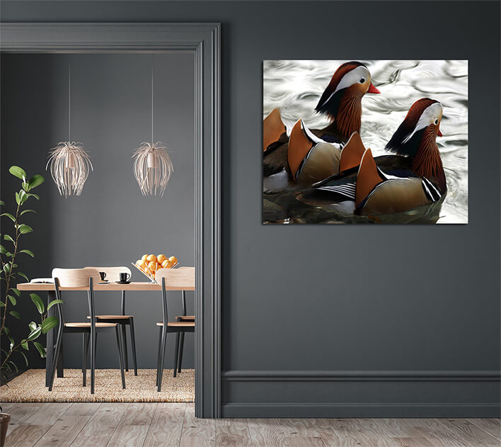 M7 0034 MML 0046 ML 0013 61516 two mandarin ducksAOAY2774