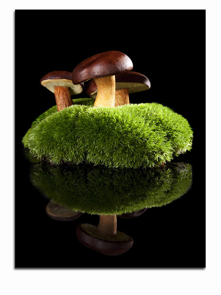 M7 0053 ML 0044 12961246 delicious mushrooms AOAY3009