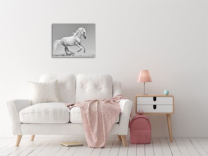 M2 0062 MS 0016 12937374 orlov trotter AOAY3608