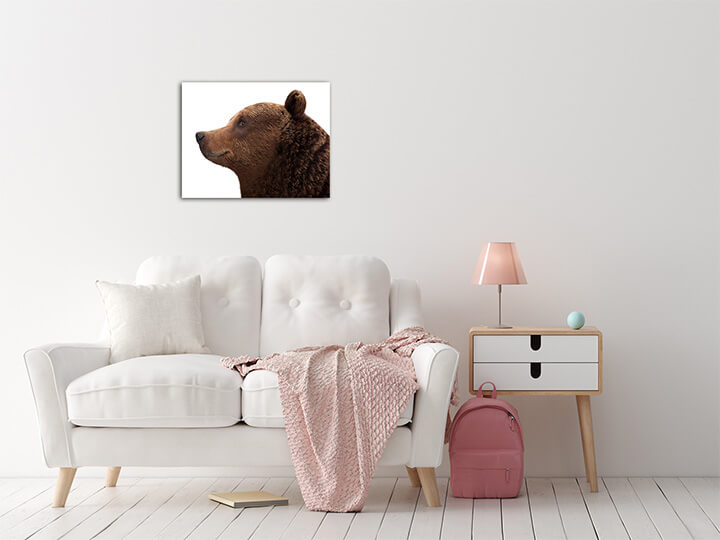 M2 0068 MS 0019 12730266 brown bear AOAY3604