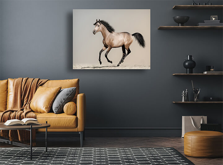 R2 0000 MP 0021 12944192 buckskin foal AOAY3682