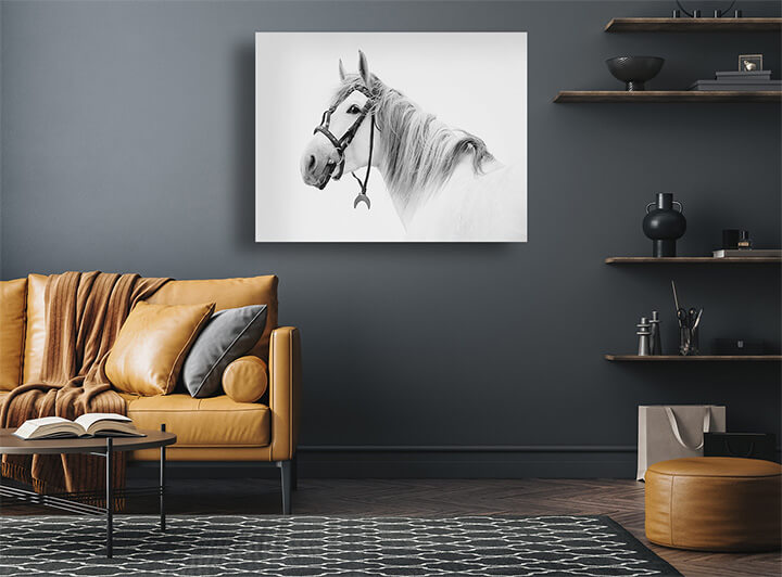 R2 0003 MP 0018 15365462 tersk stallion White AOAY3685