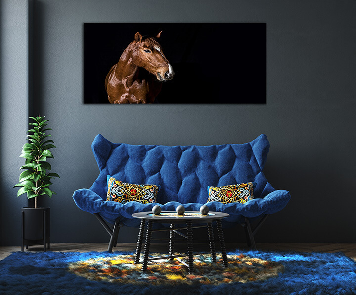 R2 0005 MP 0011 29869226 brown horse head portrait on black AOAY4378