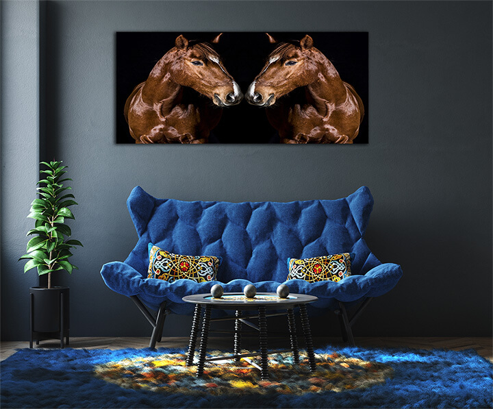 R2 0006 MP 0010 29869226 brown horse head portrait on black AOAY3721
