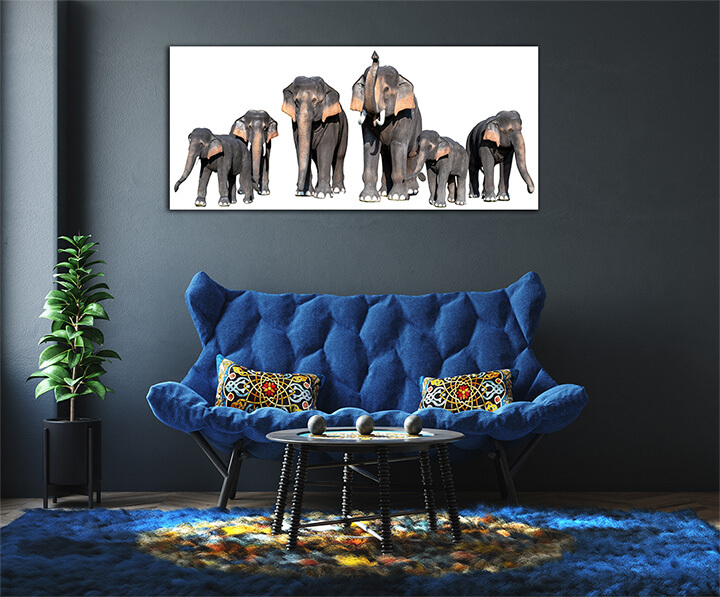 R2 0008 MP 0008 34266318 large brown elephant white background isolate AOAY3723