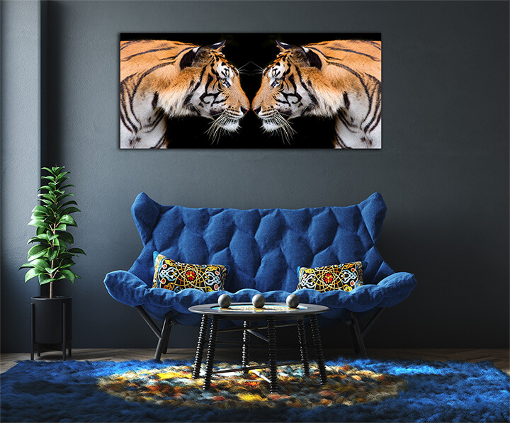 R2 0012 MP 0004 37844836 sumatran tiger roaring AOAY1559