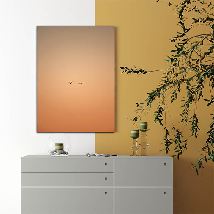 R2 0033 MP PORTRIATE 0038 33138624 a minimalistic shot of two seagulls flying during the sunset AOAY3880