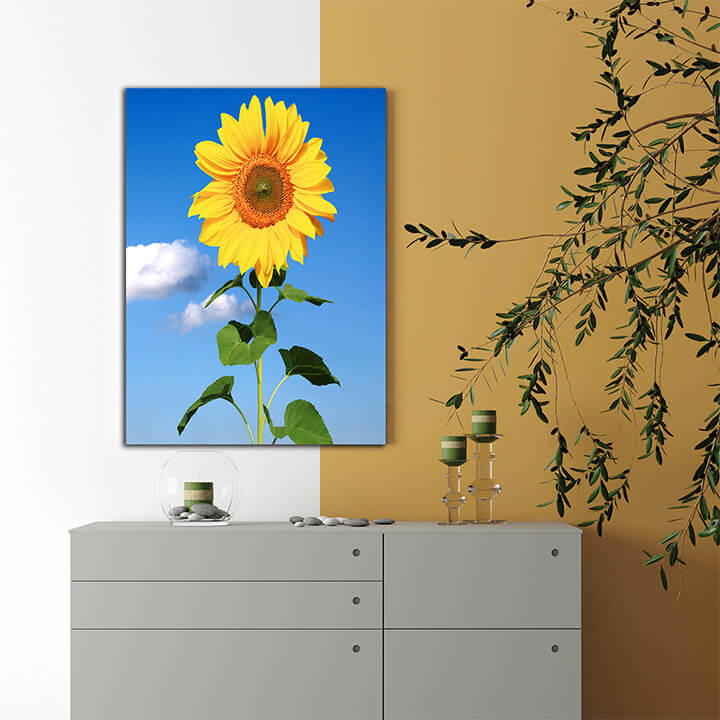 R2 0038 MP PORTRIATE 0033 39032546 field of blooming sunflowers on a background blue sky AOAY3885