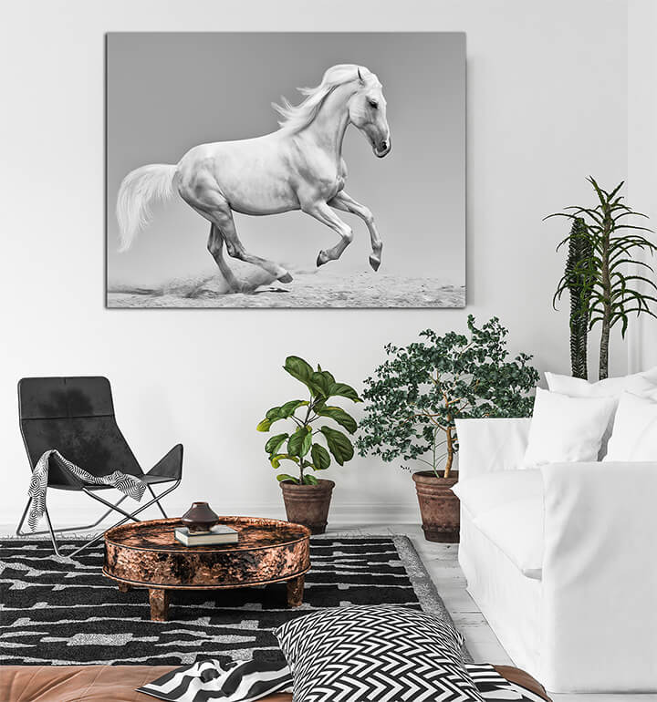 R2 0061 MS 0016 12937374 orlov trotter AOAY3608