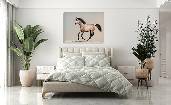 R3 0000 MP 0021 12944192 buckskin foal AOAY3682