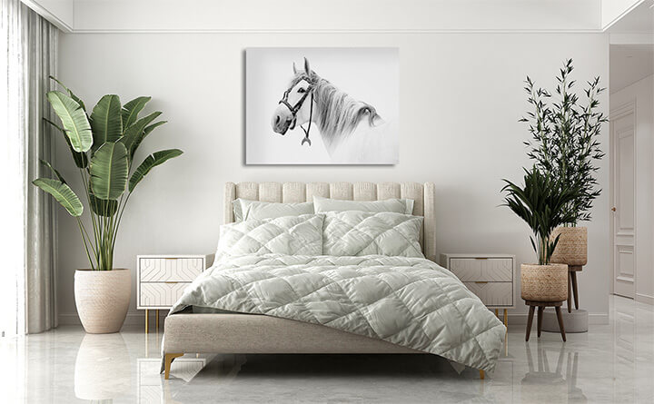 R3 0003 MP 0018 15365462 tersk stallion White AOAY3685