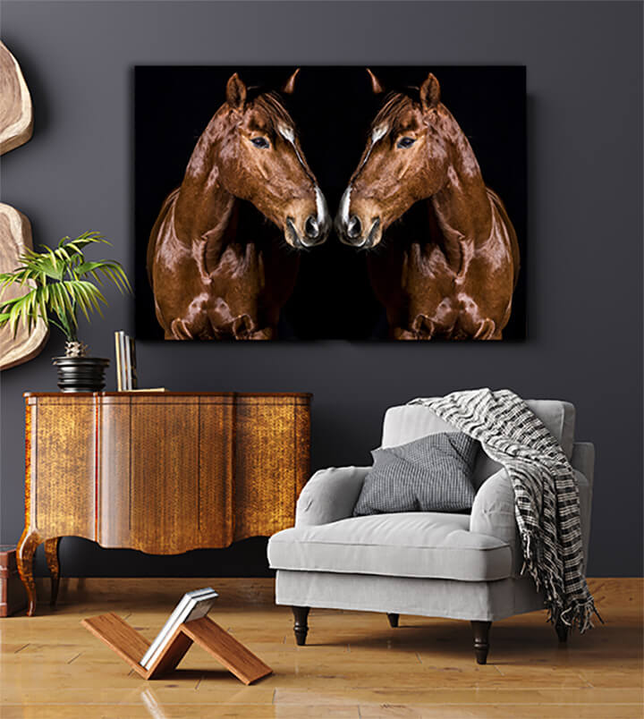 R3 0006 MP 0010 29869226 brown horse head portrait on black AOAY3721