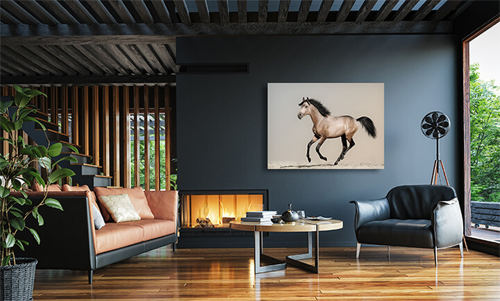 R4 0000 MP 0021 12944192 buckskin foal AOAY3682