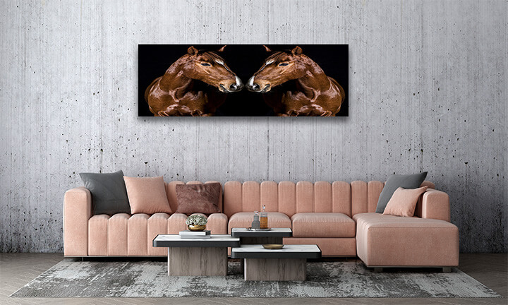 R4 0006 MP 0010 29869226 brown horse head portrait on black AOAY3721