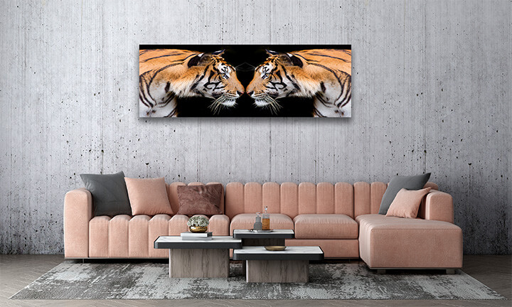 R4 0012 MP 0004 37844836 sumatran tiger roaring AOAY1559