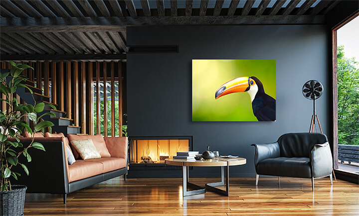 R4 0020 MP 0001 6475018 toucan bird AOAY3674