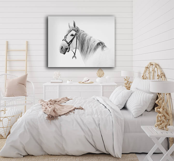 R5 0003 MP 0018 15365462 tersk stallion White AOAY3685