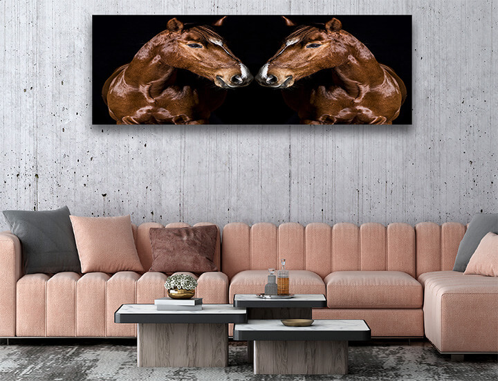 R5 0006 MP 0010 29869226 brown horse head portrait on black AOAY3721