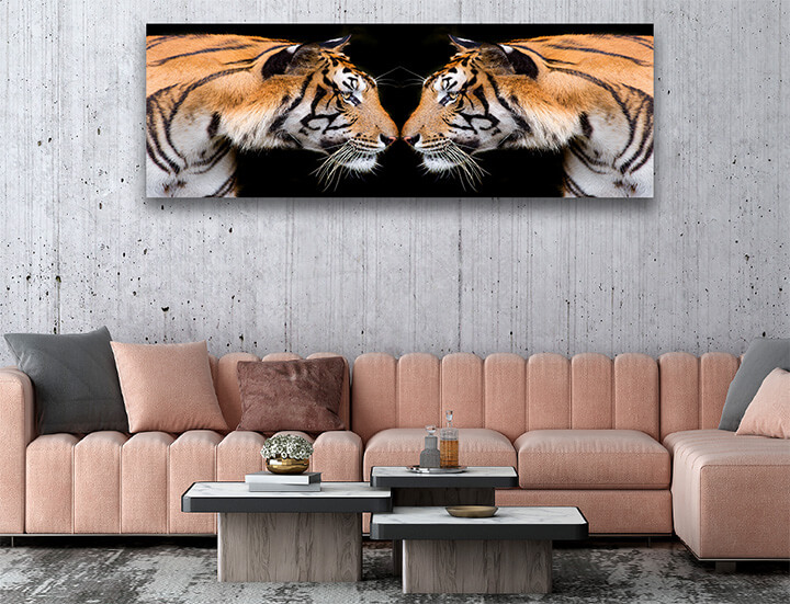 R5 0012 MP 0004 37844836 sumatran tiger roaring AOAY1559