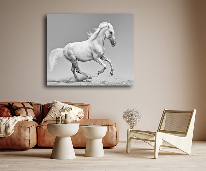 R5 0018 MS 0016 12937374 orlov trotter AOAY3608