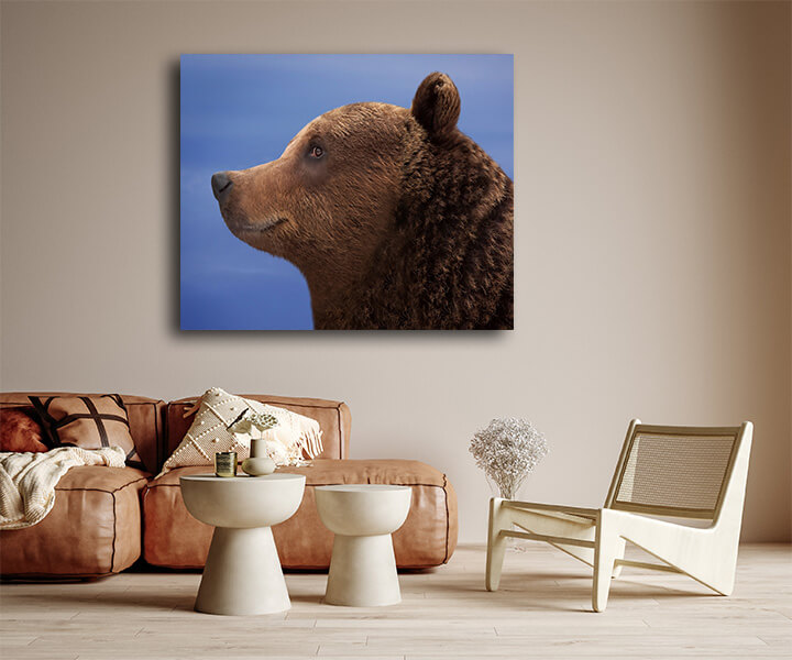 R5 0022 MS 0018 12730280 brown bear AOAY3605