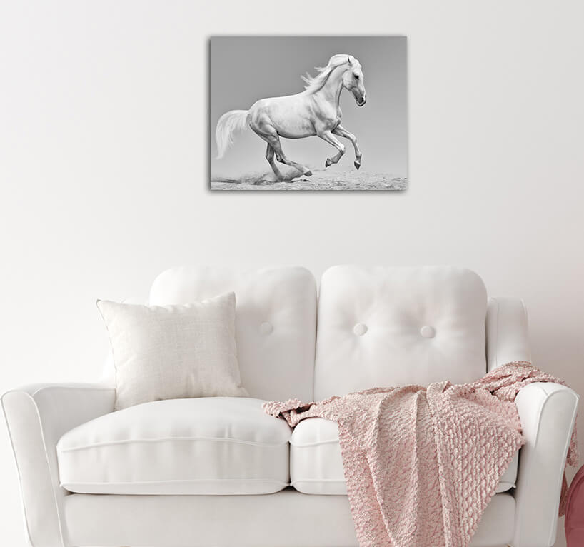 R5 0062 MS 0016 12937374 orlov trotter AOAY3608