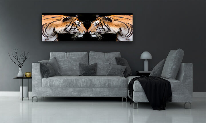 R6 0012 MP 0004 37844836 sumatran tiger roaring AOAY1559