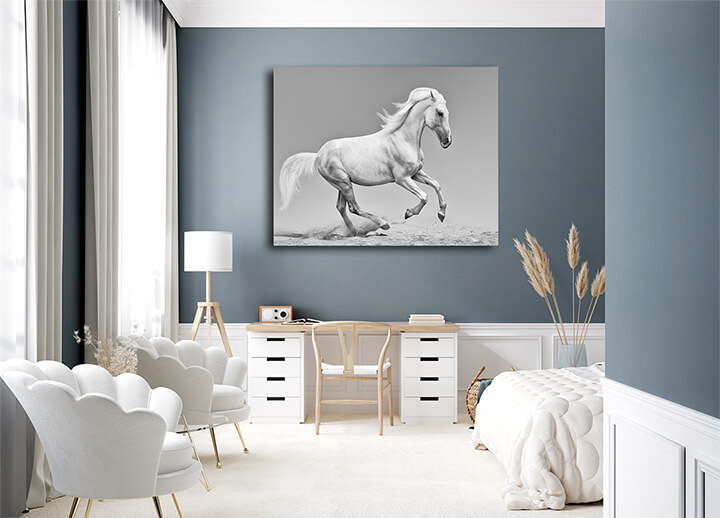 R6 0061 MS 0016 12937374 orlov trotter AOAY3608