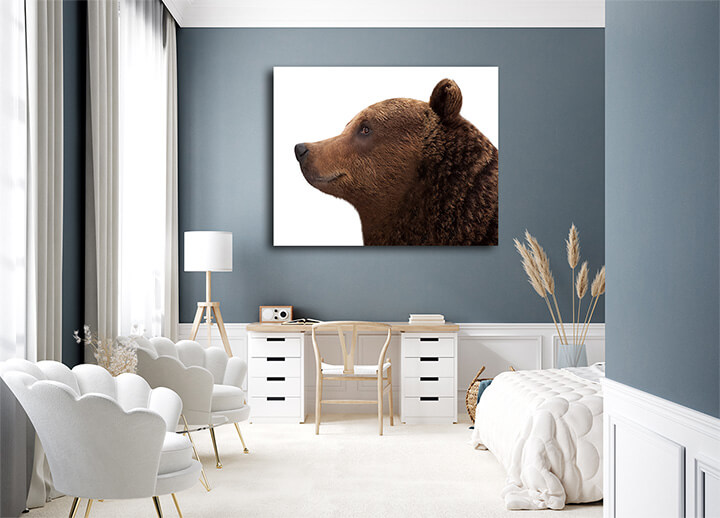 R6 0067 MS 0019 12730266 brown bear AOAY3604
