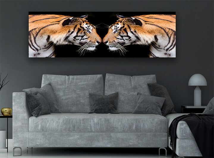 R7 0012 MP 0004 37844836 sumatran tiger roaring AOAY1559