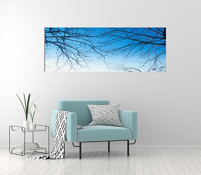 M2 0007 MOCKUPs 0022 4831820 Tree branches AOAY4587