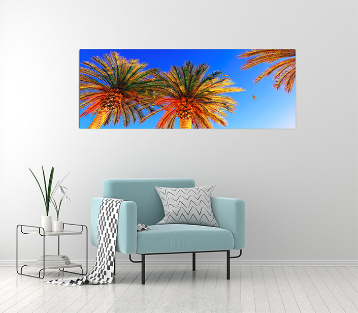 M2 0008 MOCKUPs 0021 7473644 cocunut tree AOAY4588