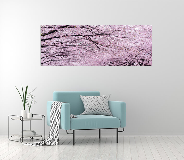 M2 0009 MOCKUPs 0020 21512242 cherry blossom tree AOAY4589