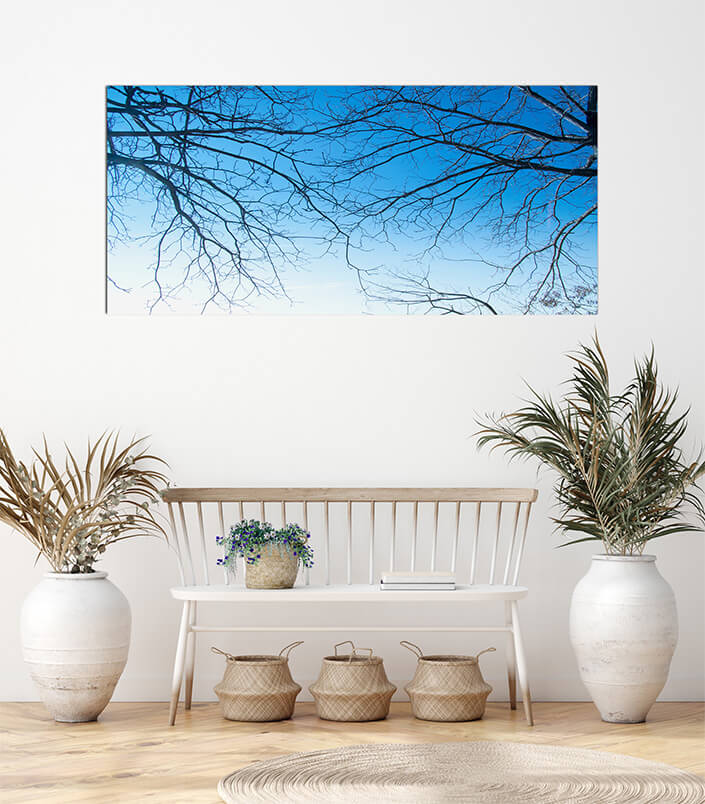 M3 0007 MOCKUPs 0022 4831820 Tree branches AOAY4587