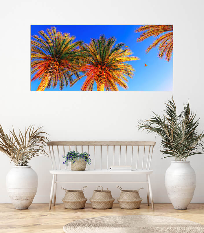 M3 0008 MOCKUPs 0021 7473644 cocunut tree AOAY4588