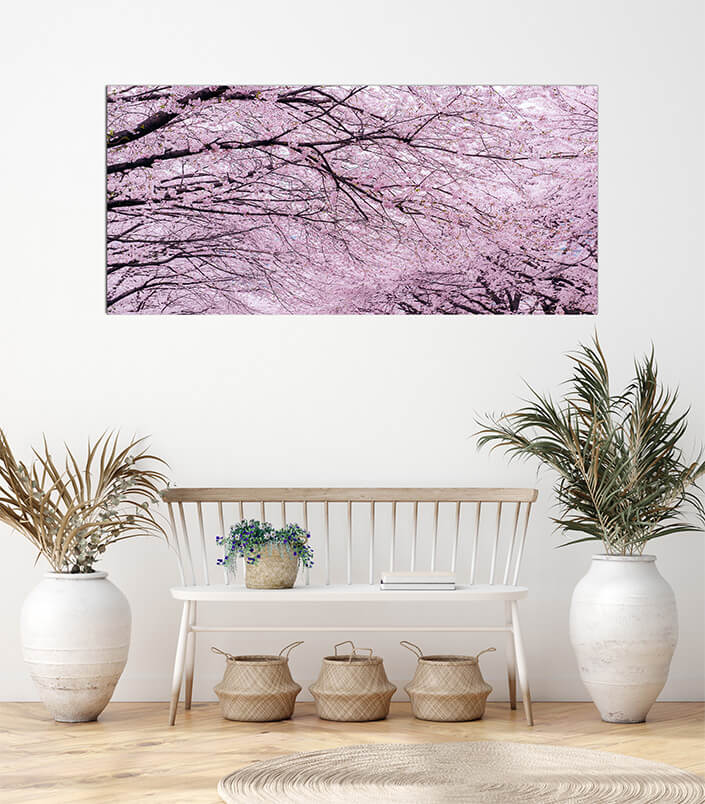 M3 0009 MOCKUPs 0020 21512242 cherry blossom tree AOAY4589