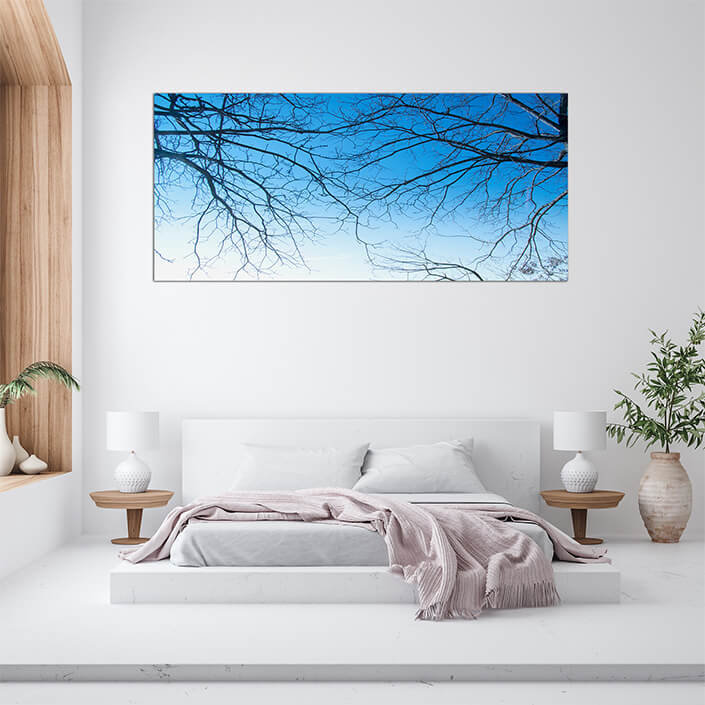 M5 0007 MOCKUPs 0022 4831820 Tree branches AOAY4587