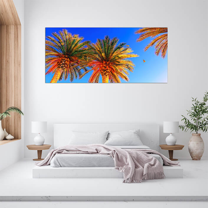 Coconut Tree AOAY4588
