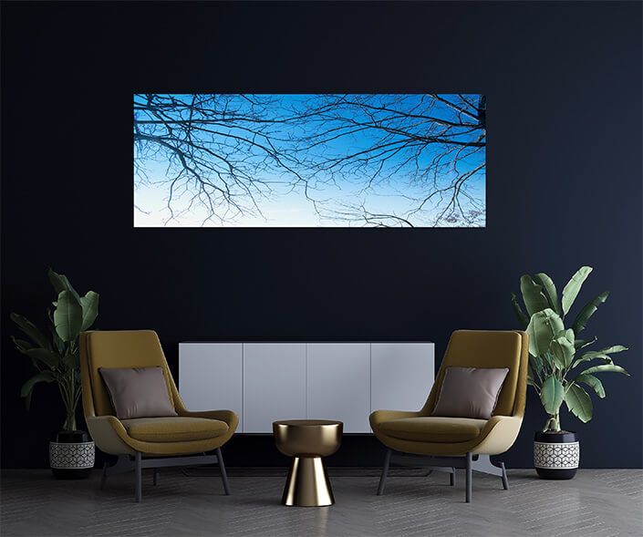 M6 0007 MOCKUPs 0022 4831820 Tree branches AOAY4587
