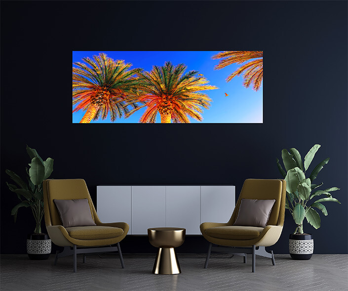 M6 0008 MOCKUPs 0021 7473644 cocunut tree AOAY4588