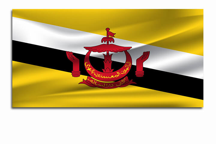 R10 0030 ML 0040 Brunei Waving Flag AOAY4029