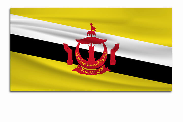R10 0031 ML 0039 Brunei Waving Flag AOAY4262