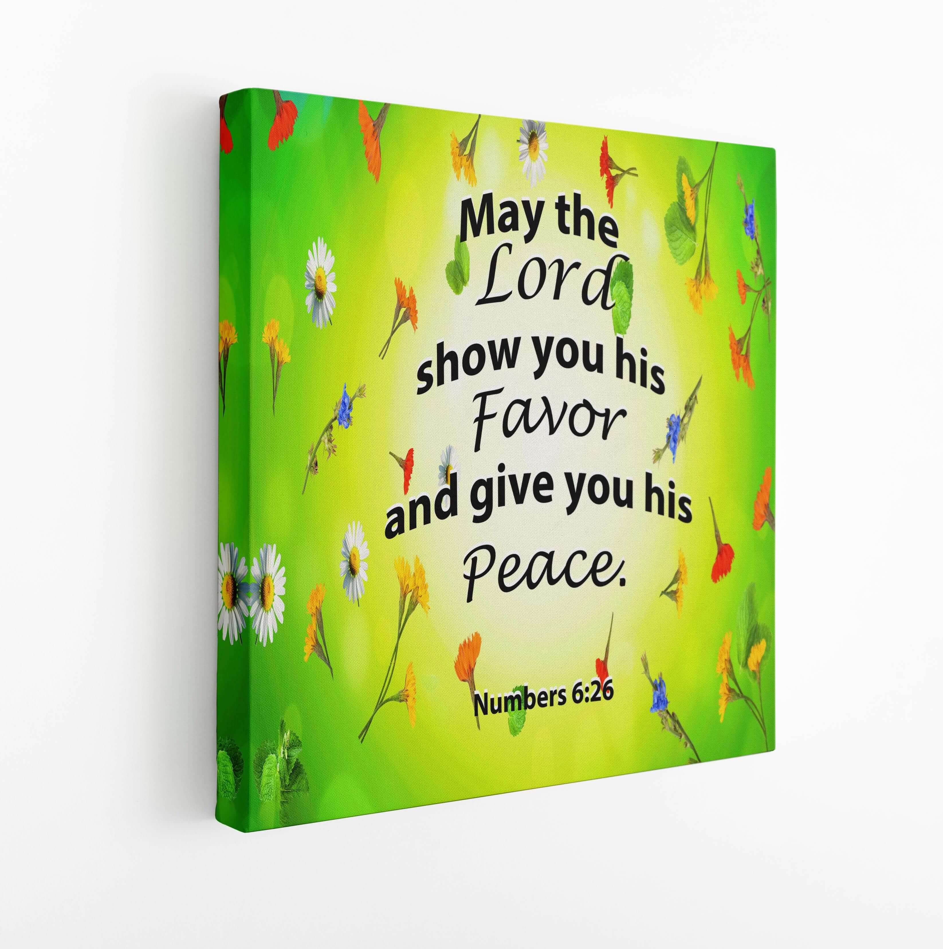 R1 NUMBERS 6.26 May the Lord show you his favour and give you his peace. 09 AOAY3585