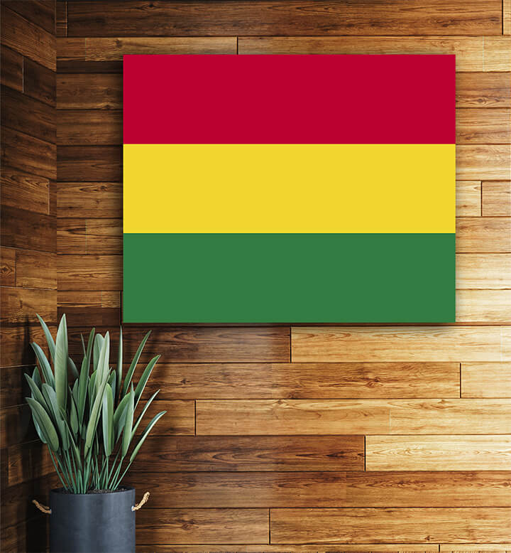 T1 0037 ML 0049 Bolivia Flag AOAY4265