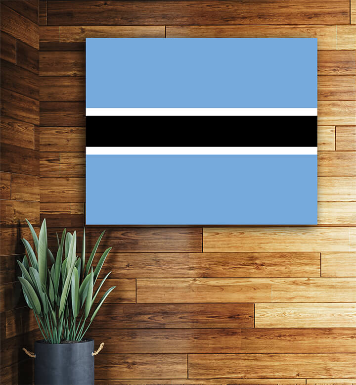 T1 0041 ML 0045 Botswana Flag AOAY4224