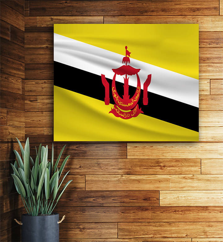 T1 0047 ML 0039 Brunei Waving Flag AOAY4262