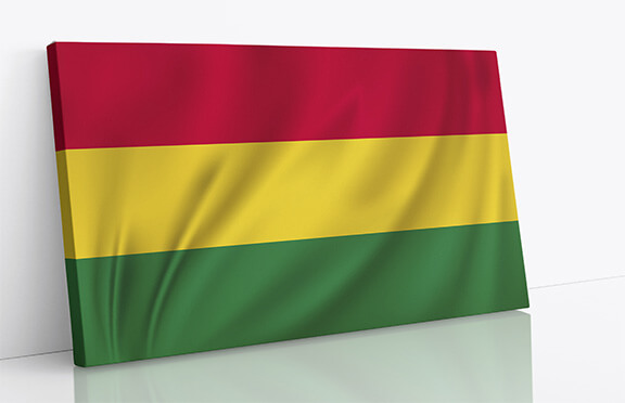 T2 0005 r2 ml 0048 bolivia waving flag aoay4264