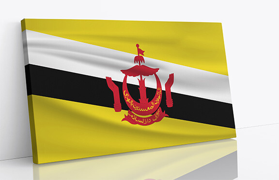 T2 0012 R2 ML 0039 Brunei Waving Flag AOAY4262
