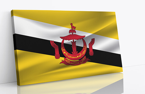 T2 0043 r2 brunei waving flag aoay4029