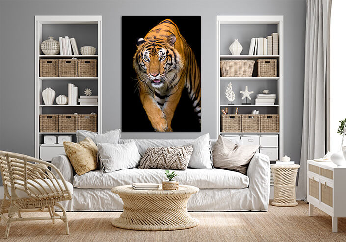WEB4 0000 MP 0010 37843198 bengal tiger head looking direct AOAY4525